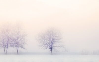 Feel Good Friday: Cozy