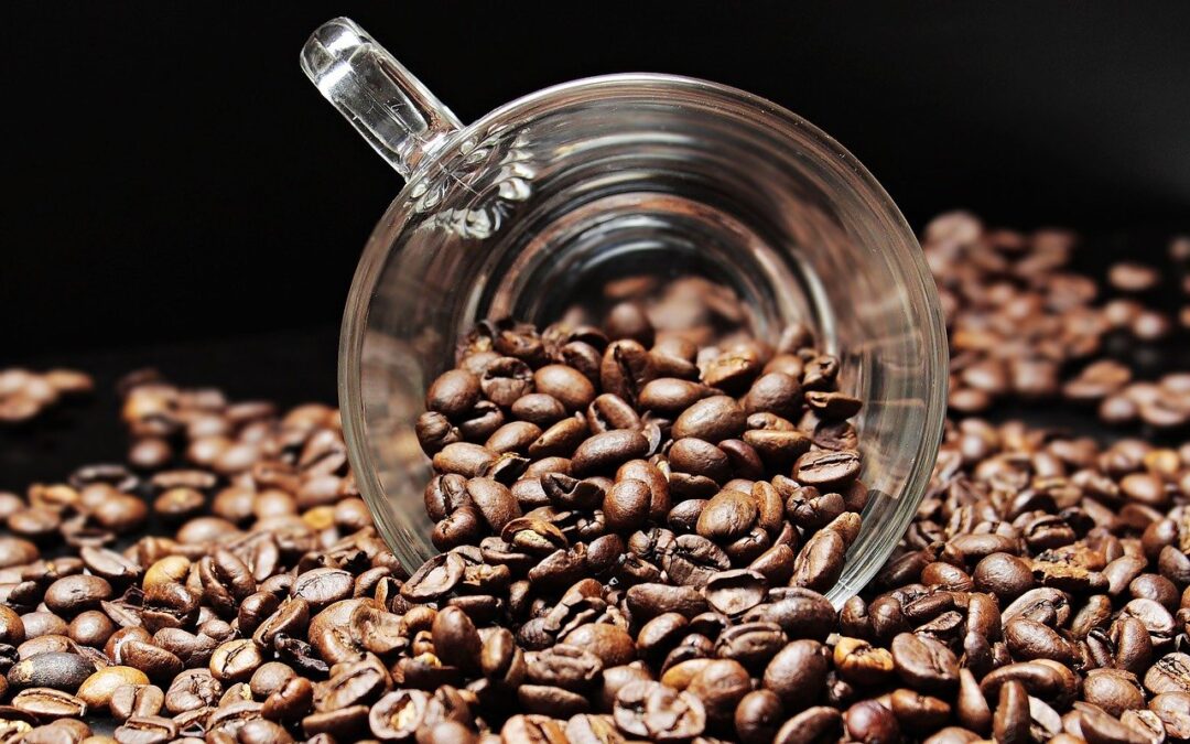 Wednesday Wellness: Beginnings