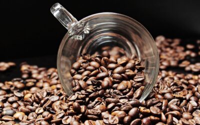 Wednesday Wellness: Beginnings