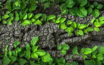 Feel Good Friday: Hope