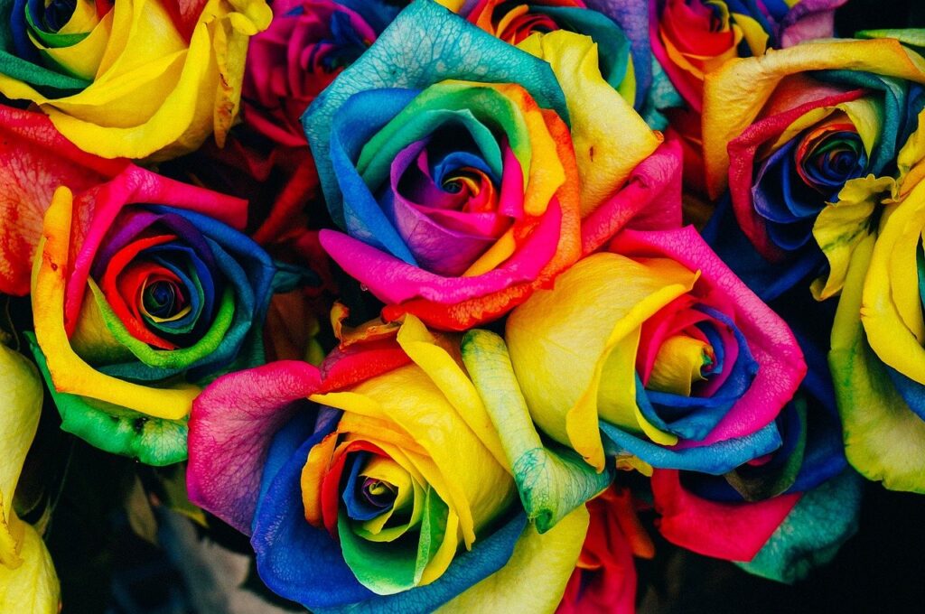 roses-828945_1280