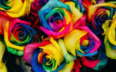 How To Keep Having Hope In Your Workplace