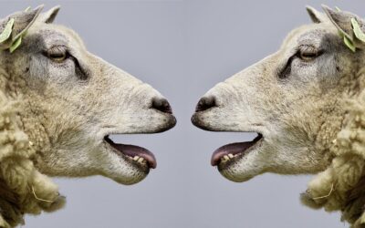 Feel Good Friday: Communication