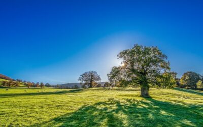 Wednesday Wellness: Hope
