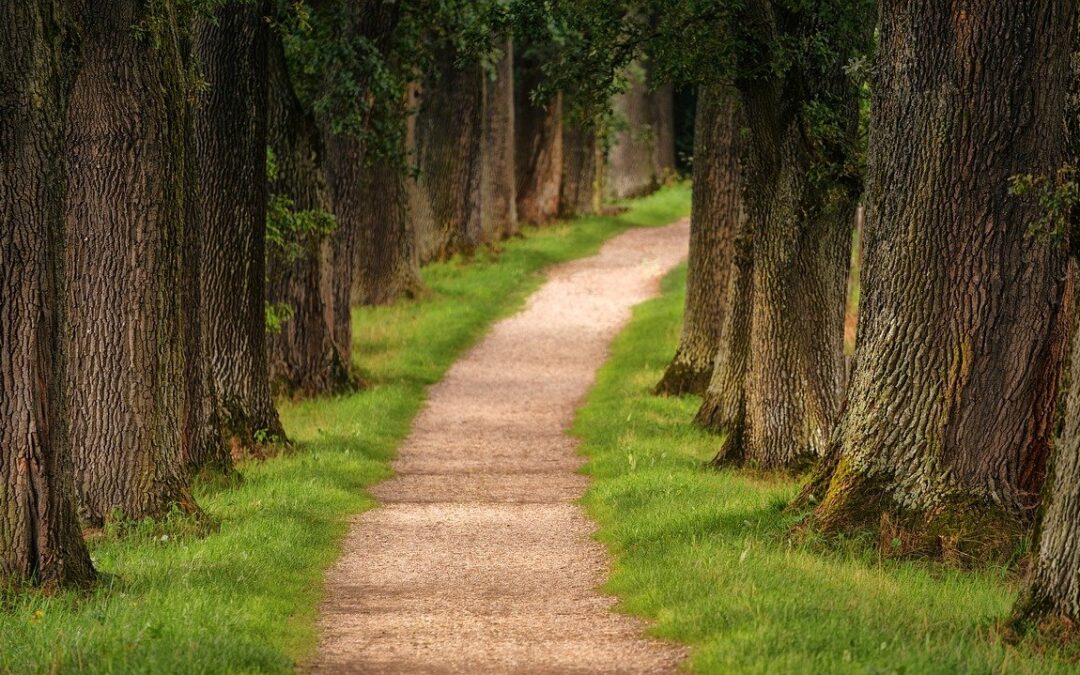 Navigating New Paths In Your Professional Environment
