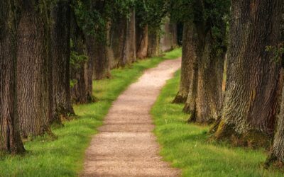 Navigating New Paths In Your Professional Environment