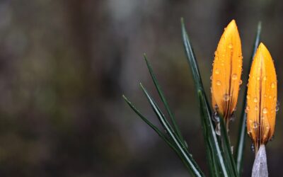 Feel Good Friday: Day by Day