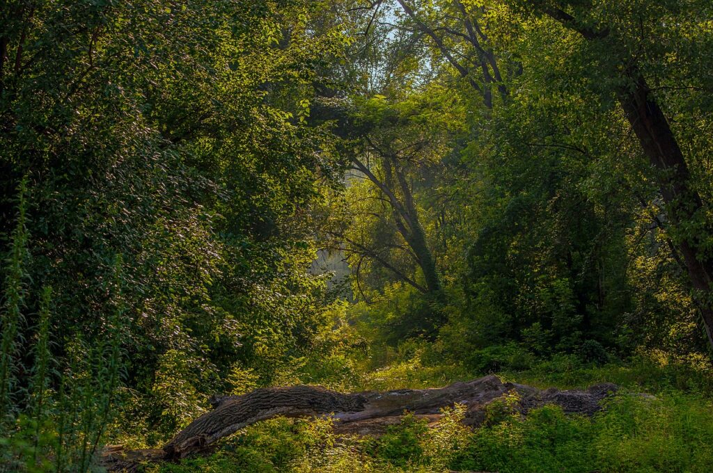landscape-2829038_1280
