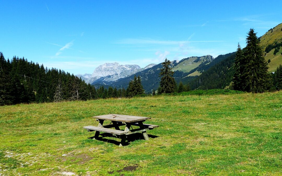 Feel Good Friday: Pause