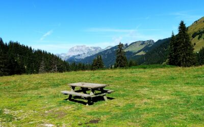 Feel Good Friday: Pause