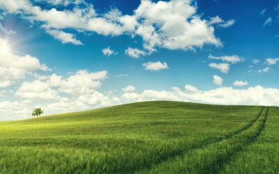 Wednesday Wellness: Return