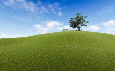 Monday Mood Booster: Resilience
