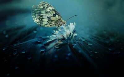Wednesday Wellness: Change
