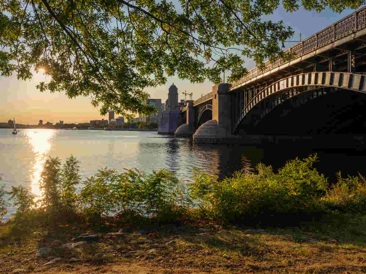 Longfellow Bridge and Tree Branches on Charles River Riverbank at Sunset